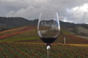 abacelawineglass