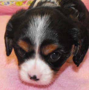 Looks tough doesn't he?