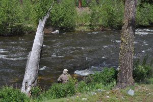 Gary Fly Fishing on Rock Creek, Montana