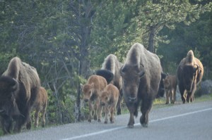Ahhhh..lunch arrives