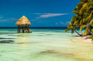 Wouldn't you want to see this every morning?