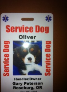 oliverservicedog