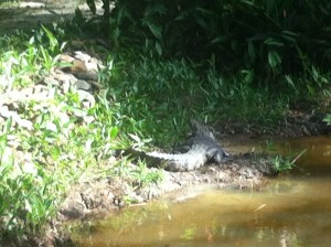 I did hear that if you don't sign, you walk this trail back home?