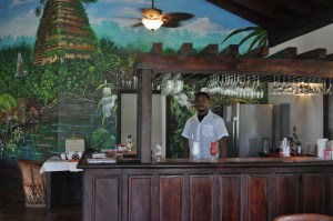 Inside the Temple Run Tavern