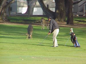 You can get some good advice from residents